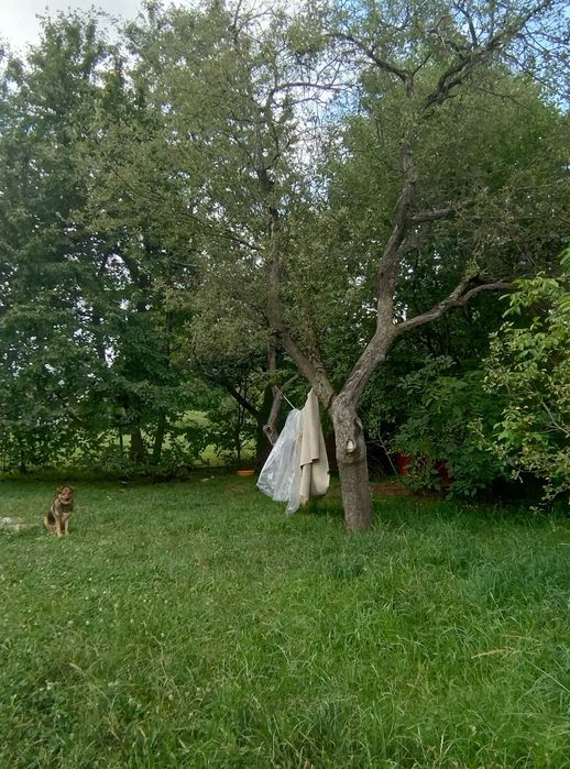 Будинок в місті Косів по вул Ірчана  вище 200м від магазину  Галичанка