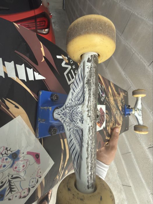 Skate Board Professional