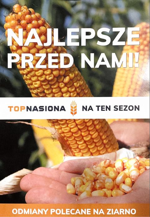 BRUCE LEE - Miatrz na każdym polu