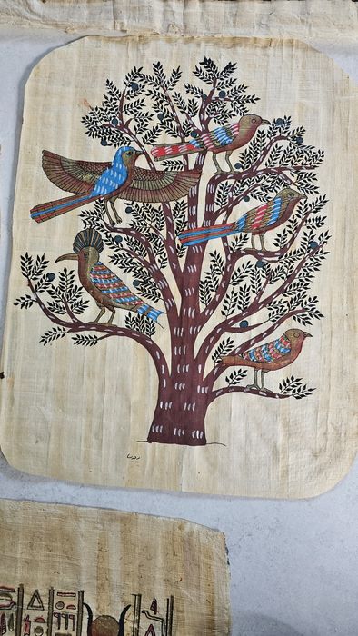 Papirus Egipski 7 papirusów papirus