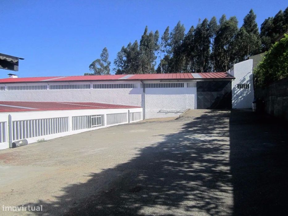 Arrendar Pavilhão na Vila de Cucujães, Oliveira de Azeméis
