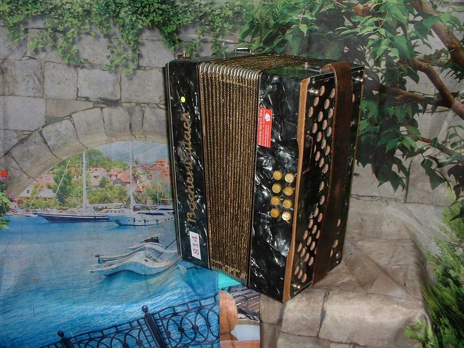 Concertinas a venda N.814 Póvoa de Penela • OLX Portugal