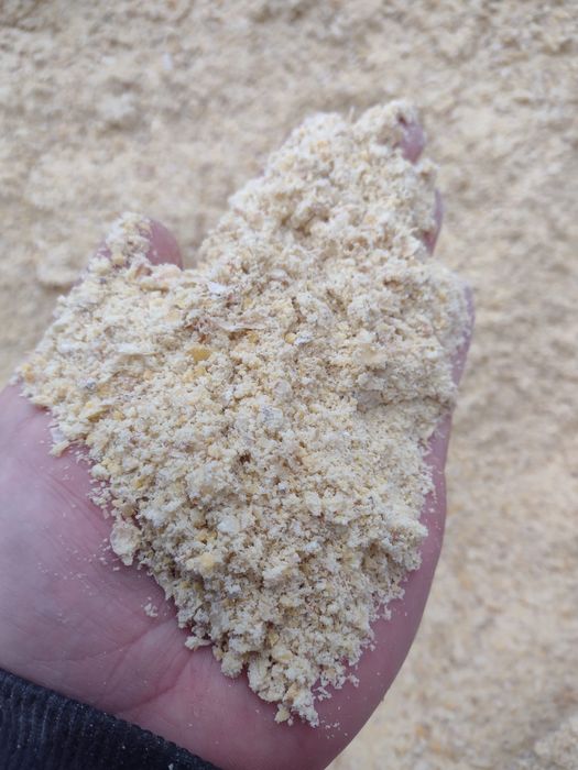 Kukurydza mokra śrutowana CCM