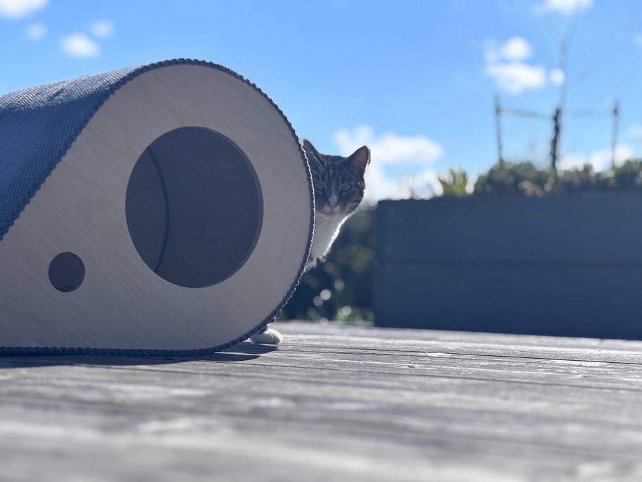 orginalny domek dla kota