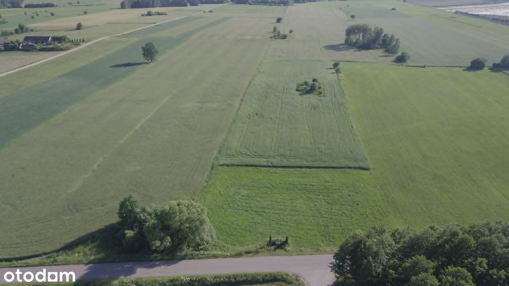 Działka, Łubianka