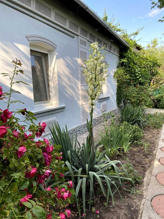 Продам дом в Лубнах