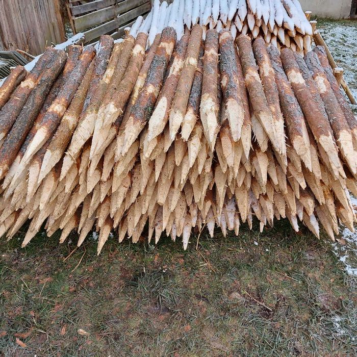 kołki Melioracyjne faszynowe i faszyna leśna