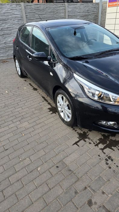 Kia Ceed 1 włsaciciel 2015 rok 1.4 benzyna Super Stan