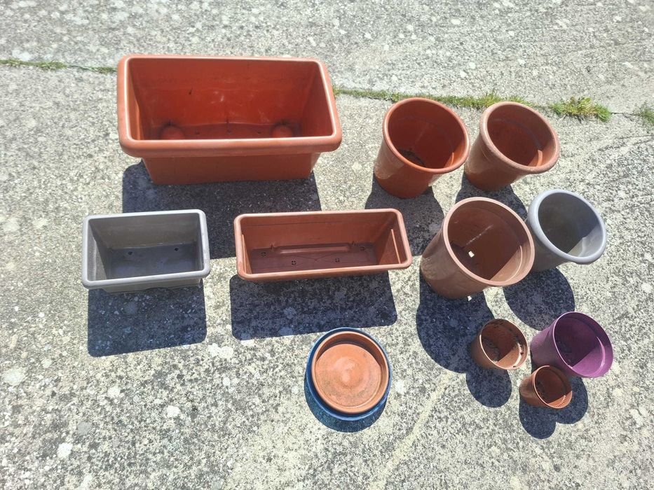 Vasos de plantas