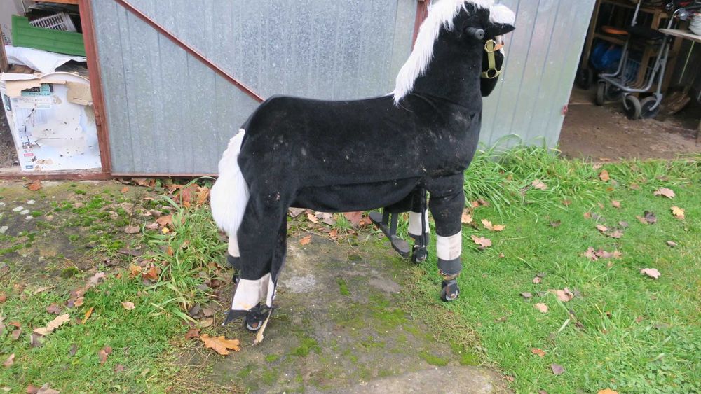 Duży koń na kółkach