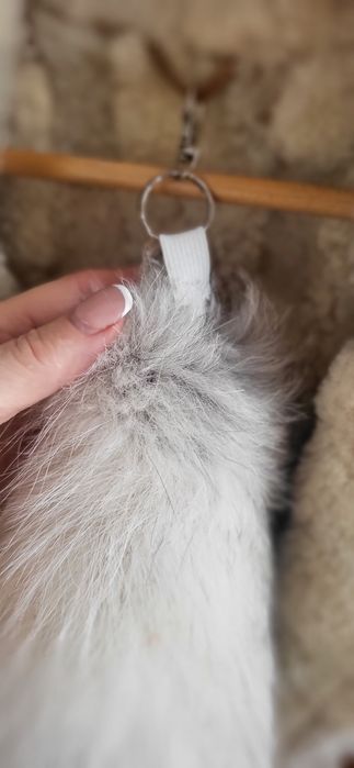 Lisia kita zawieszka