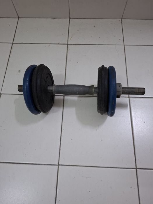 Halter + 4 pesos de 1kg cada