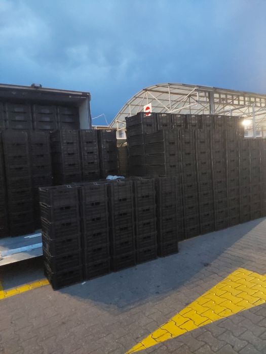 Sprzedam skrzynki plastikowe