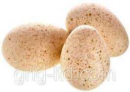 бройлерний індик бют-8 інкубаційне яйце