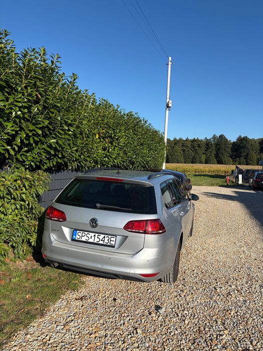 Wypożyczalnia samochodów, wynajem aut