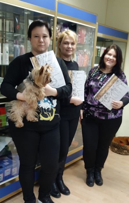 КУРСИ Масаж обличчя    Індивідуально (3 техніки в одному масажi) ОФЛАЙН/ОНЛАЙН