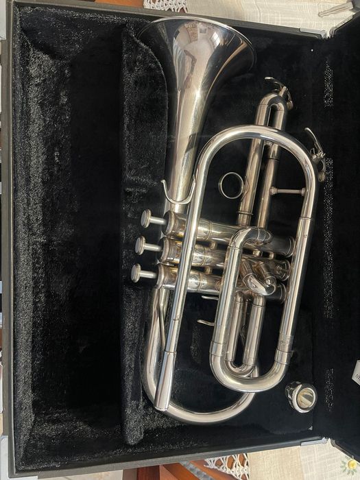 Cornet Yamaha Semi Profissional