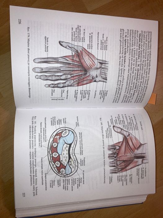 Anatomia Człowieka Repetytorium Bochenek, Anatomia Janiny Pituchowej