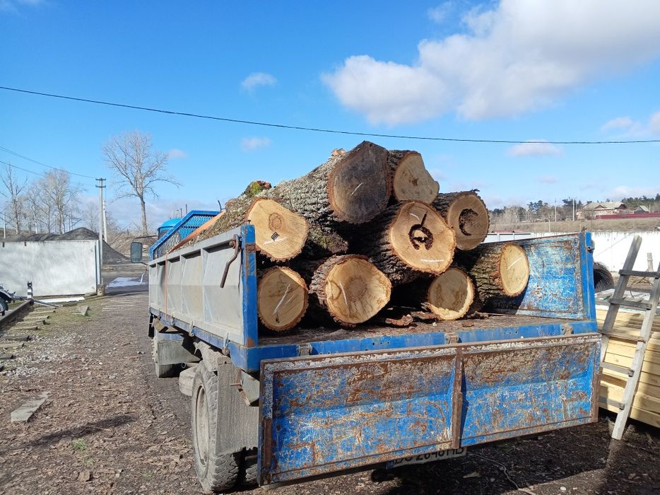 Дрова дуб, сосна, яблоня