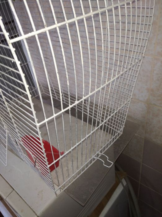 Большая клетка для  птиц