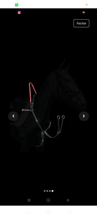 Peitoral com gamarra