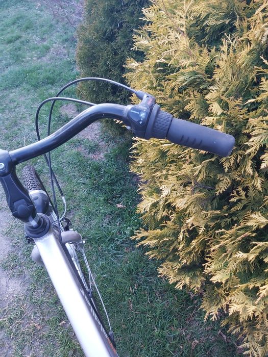 Rower męski 28 srebrny