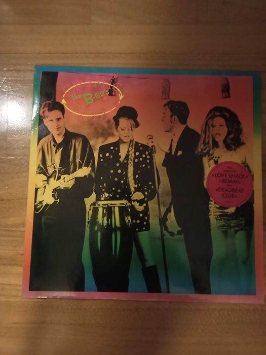 Disco vinil - The B-52's