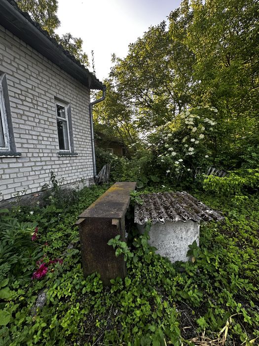 Продаж будинок з ділянкою 8 сот Золочівський район, с. Бортків, Медова