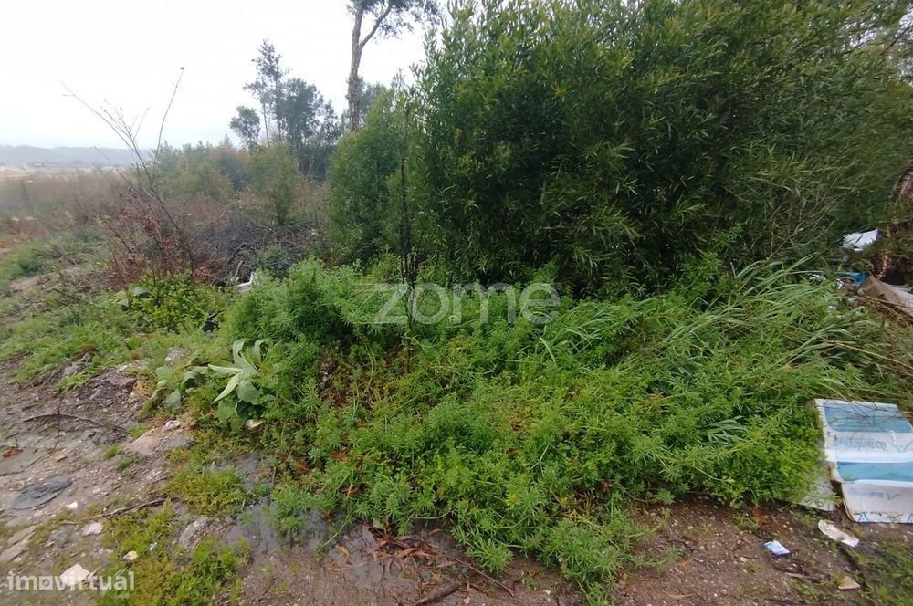 Terreno Urbanizável – O Local Perfeito para Construir a Sua Moradi...