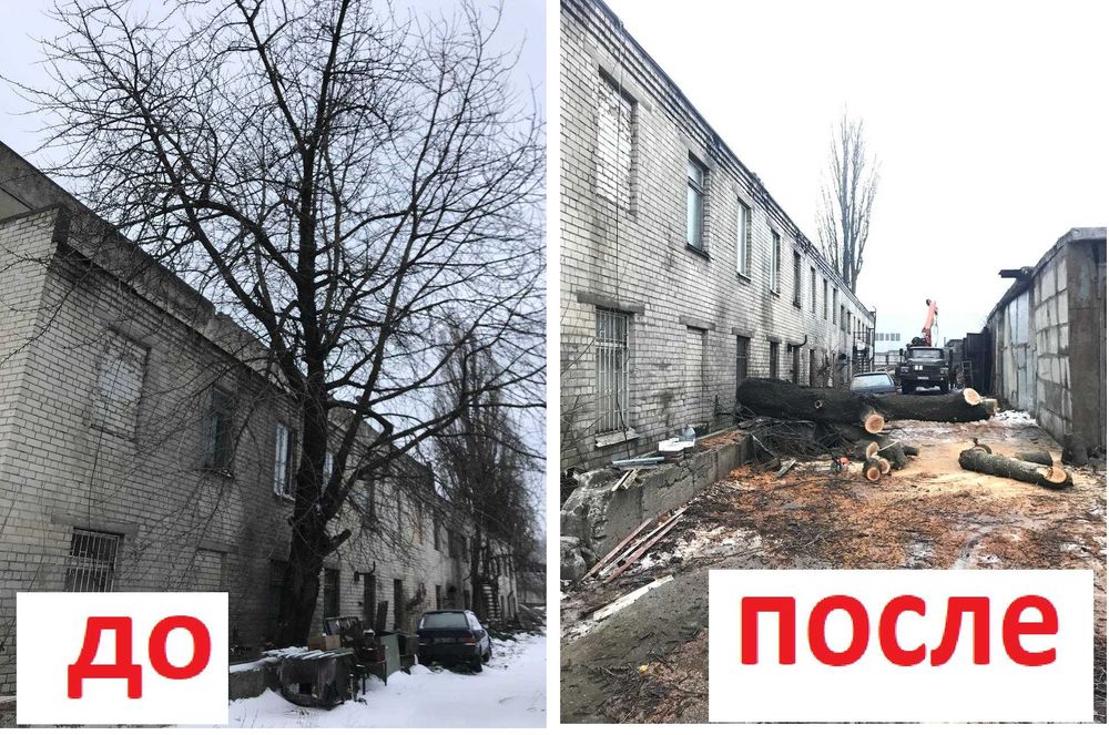 Обрезка деревьев Спил деревьв Обрезка сада Спил с вышки Вывоз Дробилка