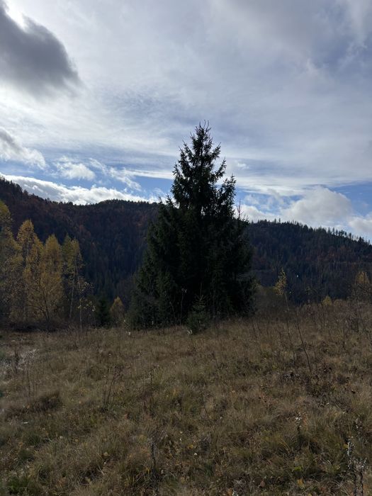 Продам земельну ділянку