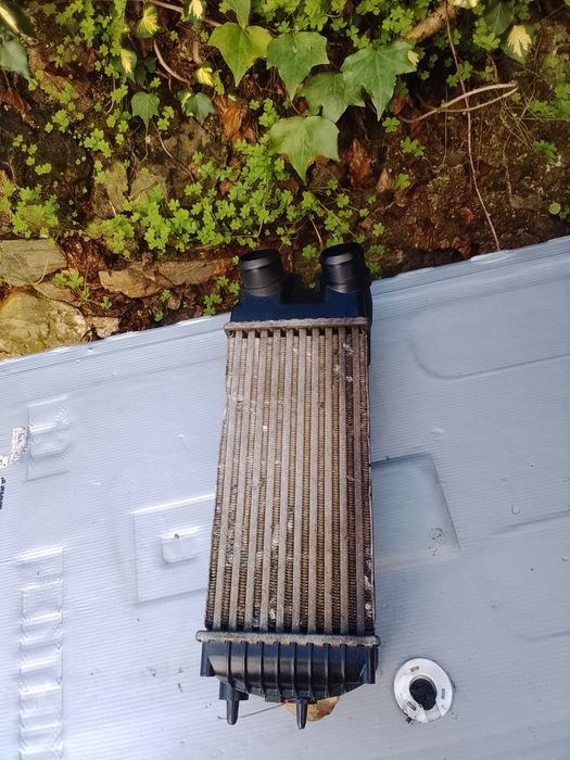 Peças Citroen Berlingo