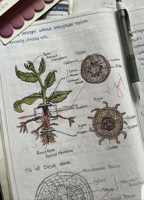 korepetycje z biologii