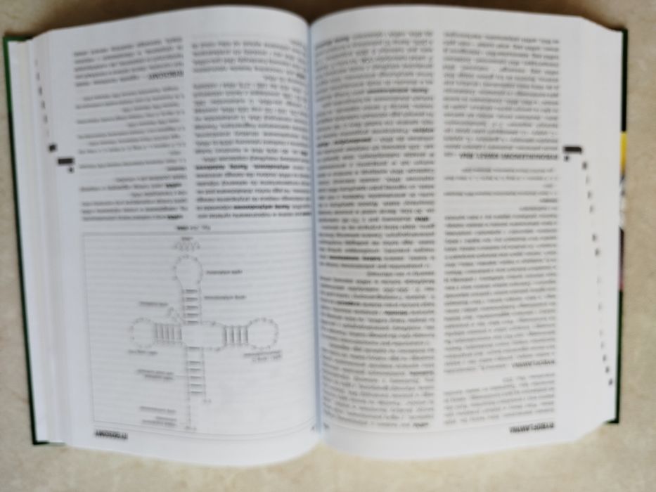 Encyklopedia Biologia