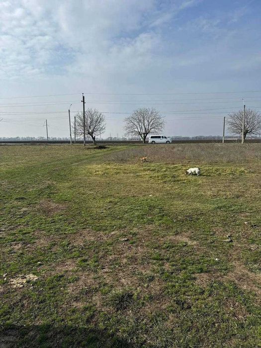 Ділянка в с. МОЛОДІЖНЕ