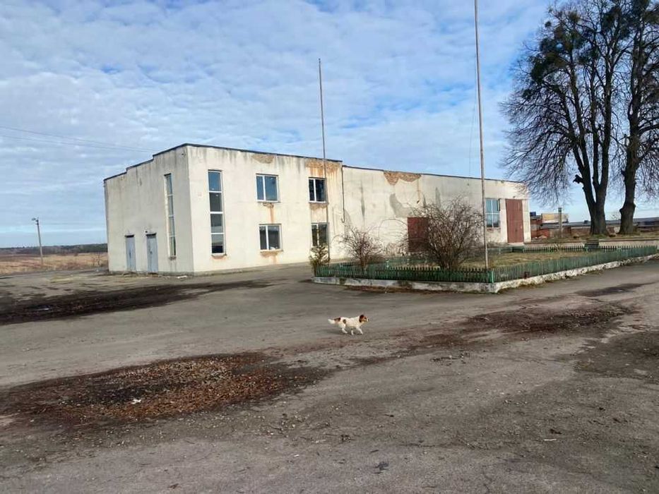 Продаж комерційного приміщення у селі Ременові