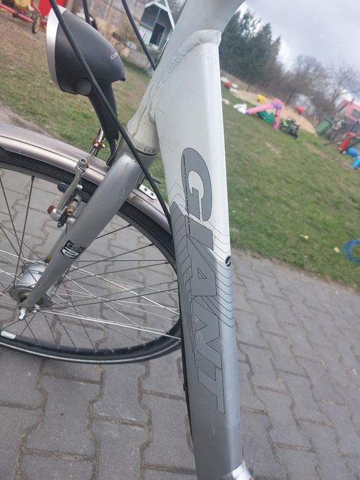 Rower holenderski Giant