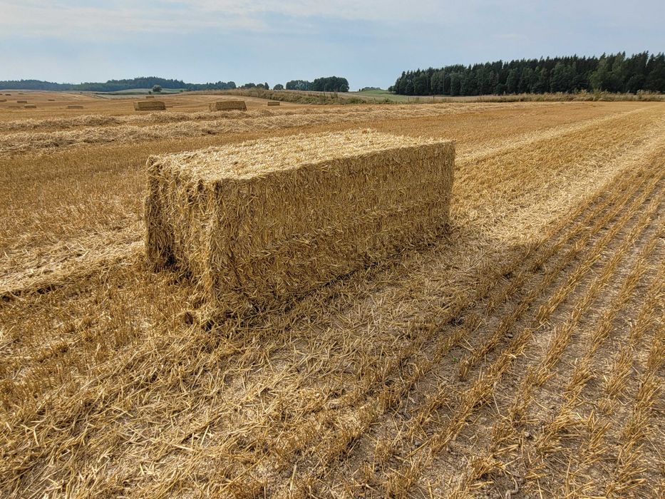 Sprzedam słomę kostki bele transport