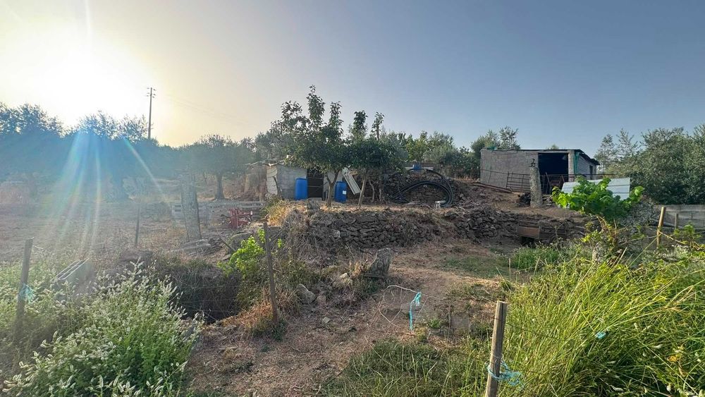 Quinta / Terreno Rústico para Venda – Palvarinho, Salgueiro do Campo