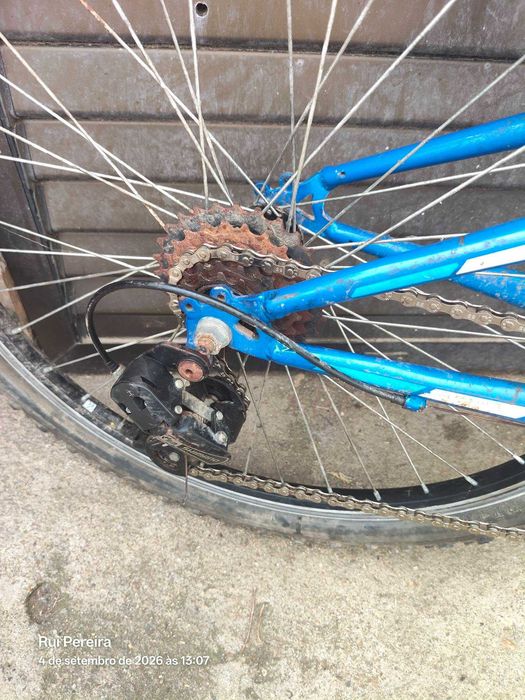 Bicicleta BERG 24"