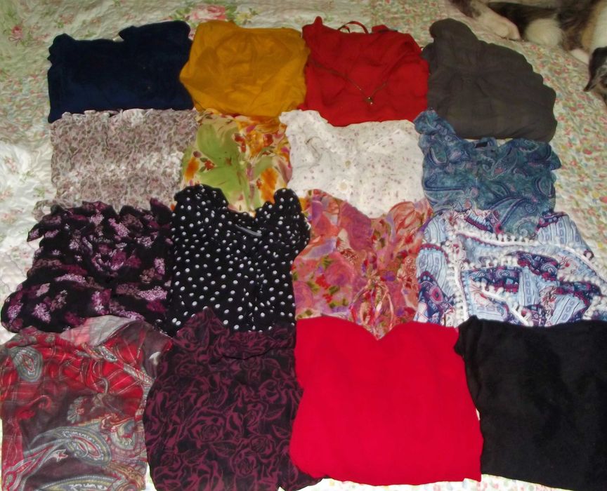 Conjunto de Blusas de Senhora