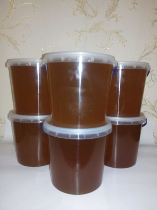 Мед ЛІСОВИЙ (ЛЕСНОЙ) 2025 !!!