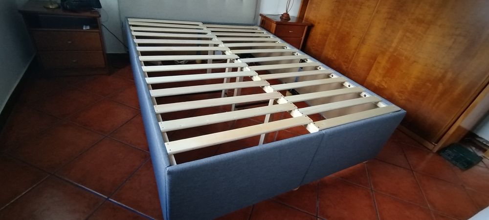 Summier cinzento
