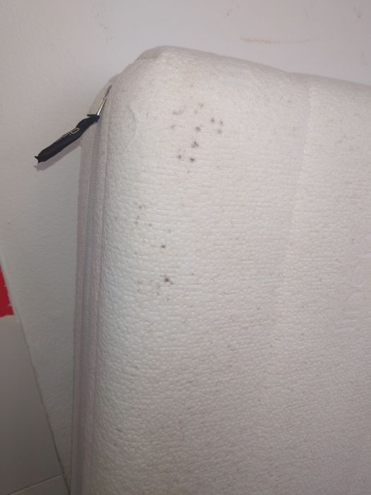 Cama articulada elétrica com comando, pedal e colchão