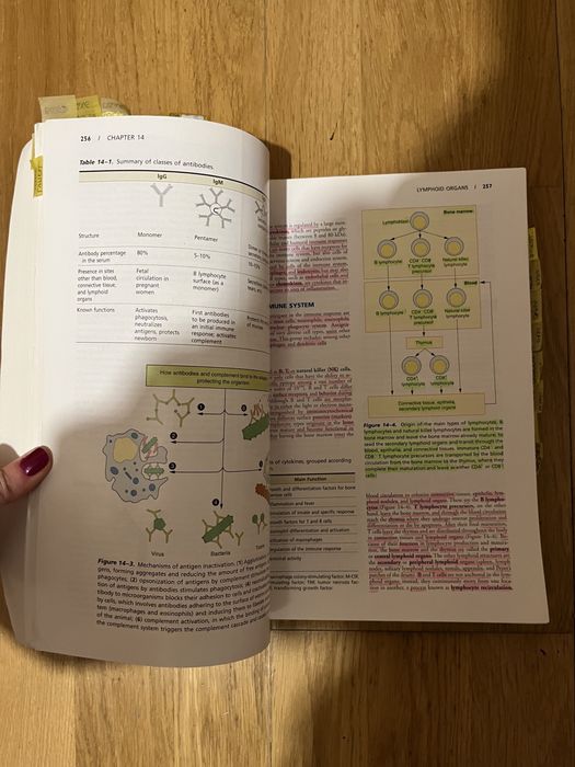 Livro Basic Histology