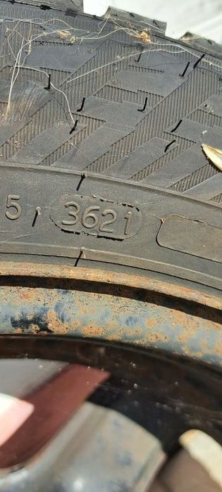 Зимові шини 205 55 r 16  Nokian hakkapeliitta 10 Шип