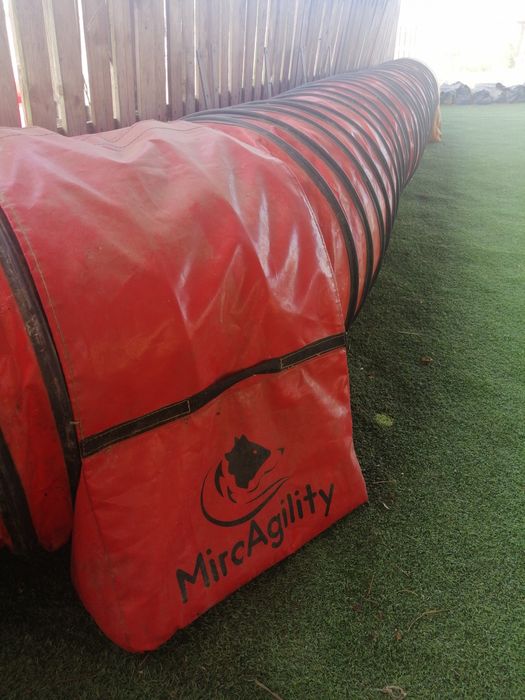 Pista completa de competição de agility