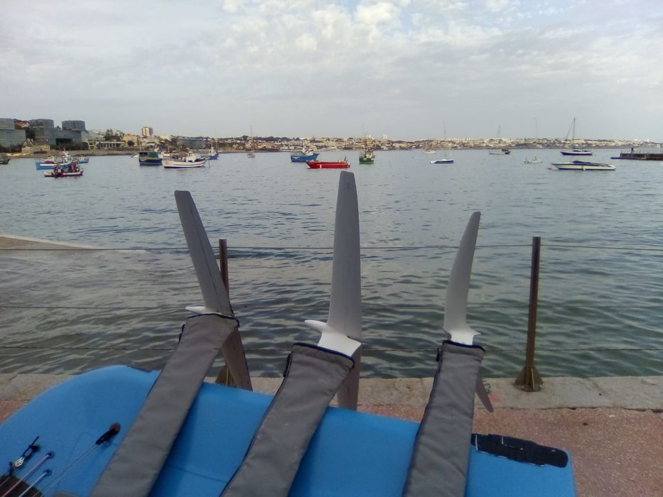 Vendo Moth com foils, em carbono, construído em 2018