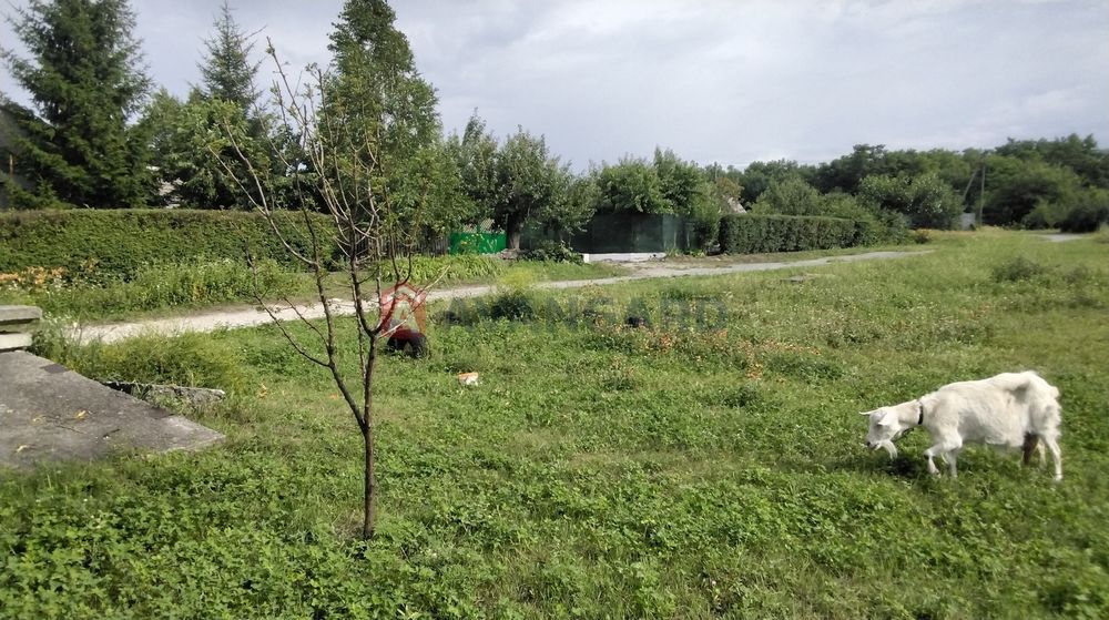 Продам земельну ділянку для забудови в зручному місці в Романково