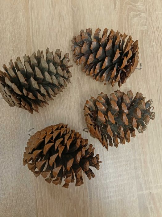 szyszki duże 4 sztuki